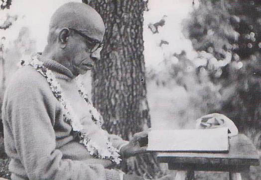 Prabhupada_in_New_Vrindaban.JPG